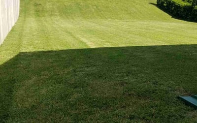 Photo of Penelope B.'s yard after getting tree care in Nashville, TN