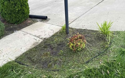 Photo of Chris P.'s yard after getting landscaping in Chesterfield, VA