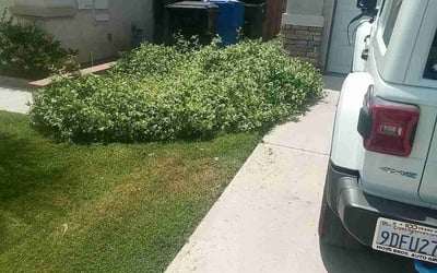 Photo of John C.'s yard after getting landscaping in Chino Hills, CA