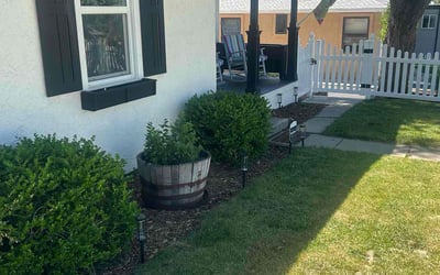Photo of Laura P.'s yard after getting tree care in Broomfield, CO