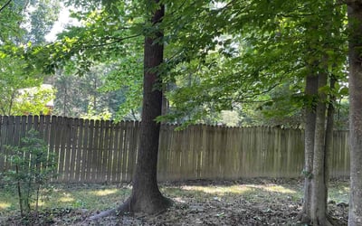 Photo of Justin S.'s yard after getting landscaping in Broomes Island, MD