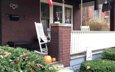 Photo of Damian M.'s yard after getting landscaping in Mc Kees Rocks, PA