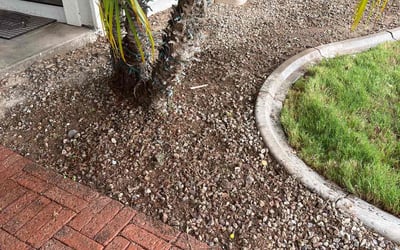 Photo of Kai W.'s yard after getting landscaping in Cashion, AZ