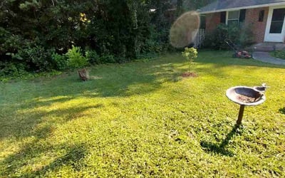 Photo of John D.'s yard after getting landscaping in New Hill, NC