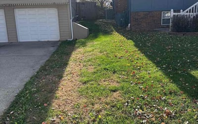 Photo of Steve C.'s yard after getting landscaping in Adrian, MO