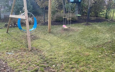 Photo of Stacy E.'s yard after getting landscaping in Fort Mitchell, KY