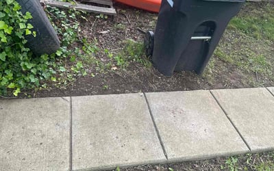 Photo of Michael M.'s yard after getting landscaping in Phoenixville, PA