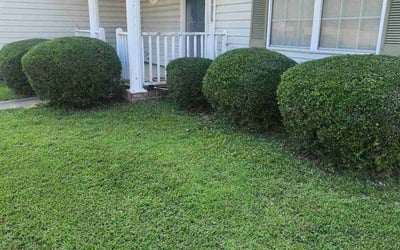 Photo of Sheila G.'s yard after getting landscaping in Irmo, SC