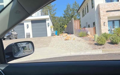Photo of Joe L.'s yard after getting landscaping in Santa Rosa, CA