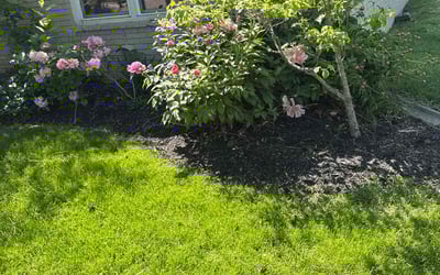 Photo of William J.'s yard after getting landscaping in Carmel, IN