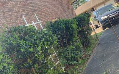 Photo of Alice M.'s yard after getting landscaping in Aydlett, NC