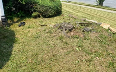Photo of Stephanie S.'s yard after getting landscaping in Nazareth, PA