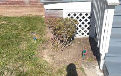 Photo of Pamela G.'s yard after getting landscaping in Independence, OH