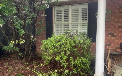 Photo of Louie D.'s yard after getting tree care in Moncks Corner, SC