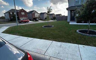 Photo of Sherry O.'s yard after getting lawn care in Converse, TX