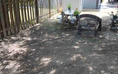 Photo of Kristen H.'s yard after getting landscaping in Lakeway, TX