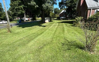 Photo of Patricia W.'s yard after getting lawn care in Bloomfield, CT