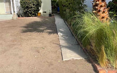 Photo of Carol M.'s yard after getting landscaping in San Pedro, CA