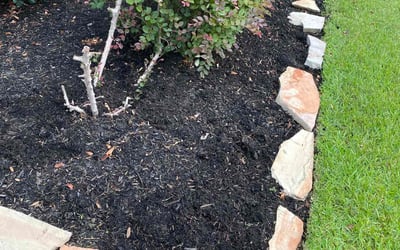 Photo of Mason M.'s yard after getting landscaping in Cypress, TX