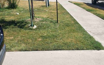 Photo of Dana W.'s yard after getting landscaping in Bardwell, TX