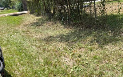 Photo of Adrian A.'s yard after getting tree care in South Houston, TX