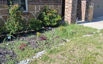 Photo of Lewis H.'s yard after getting landscaping in Aubrey, TX