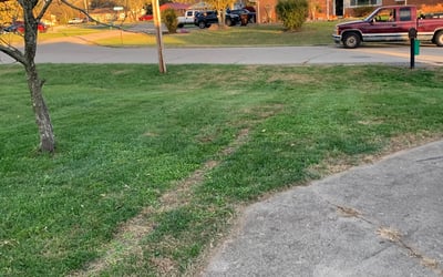 Photo of Michelle C.'s yard after getting landscaping in Mount Orab, OH