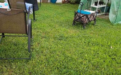 Photo of Robert S.'s yard after getting landscaping in Babson Park, FL