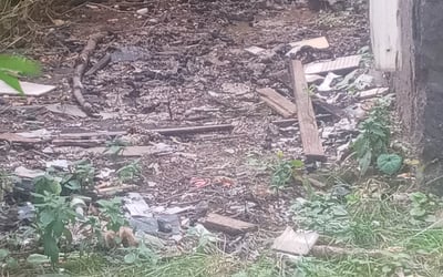 Photo of Amanda M.'s yard after getting landscaping in Geneva, NY