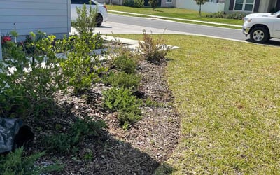 Photo of Andrew M.'s yard after getting landscaping in Ocala, FL