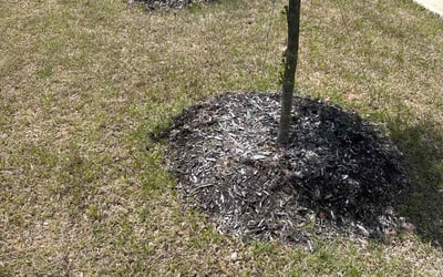 Photo of Kevin G.'s yard after getting landscaping in Alvarado, TX