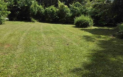 Photo of Douglas S.'s yard after getting landscaping in Greenville, SC