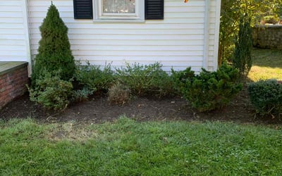 Photo of Sarah B.'s yard after getting landscaping in Portland, CT