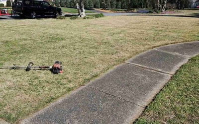 Photo of Michele S.'s yard after getting landscaping in Smyrna, SC