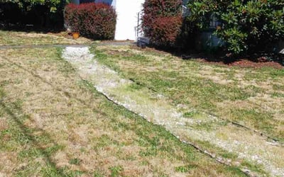 Photo of Michelle M.'s yard after getting landscaping in Cornelius, OR