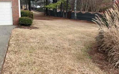 Photo of Andrew P.'s yard after getting landscaping in Grantville, GA