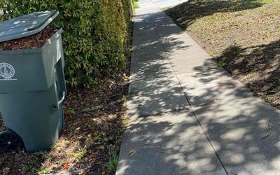 Photo of Larry C.'s yard after getting tree care in Bakersfield, CA