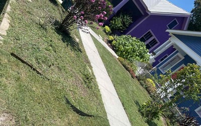 Photo of Heather F.'s yard after getting landscaping in Saint Amant, LA