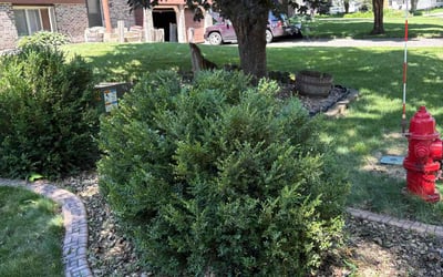 Photo of Steve H.'s yard after getting landscaping in Lakeville, MN