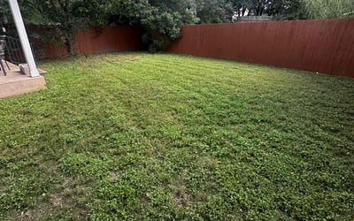 Photo of Debra M.'s yard after getting landscaping in Leander, TX