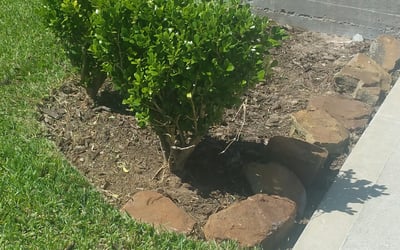 Photo of Shanna B.'s yard after getting landscaping in Liberty, TX