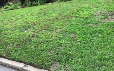 Photo of Kelly T.'s yard after getting landscaping in Broken Arrow, OK