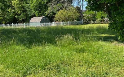 Photo of Deborah P.'s yard after getting landscaping in Newell, NC