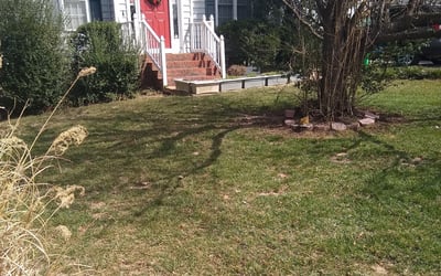 Photo of Patricia S.'s yard after getting landscaping in Dewitt, VA