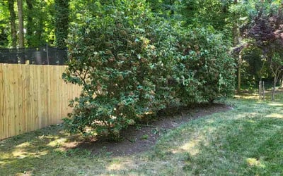 Photo of Mary L.'s yard after getting landscaping in Manakin Sabot, VA