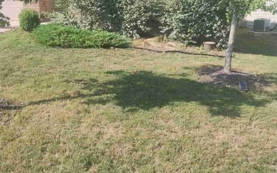 Photo of Jasmine D.'s yard after getting landscaping in D Hanis, TX