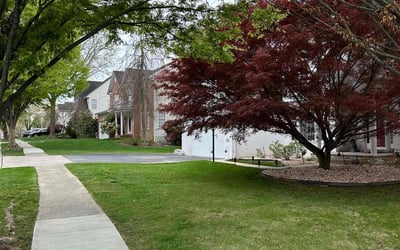 Photo of Jasween S.'s yard after getting landscaping in Knoxville, MD