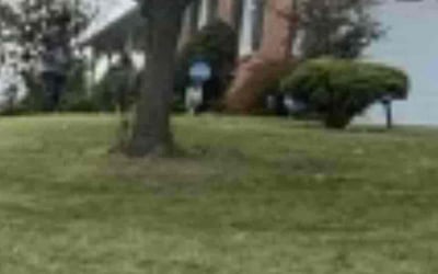 Photo of John S.'s yard after getting landscaping in Marshall, VA
