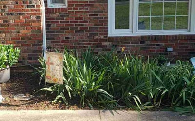 Photo of Linda C.'s yard after getting landscaping in Stafford, VA