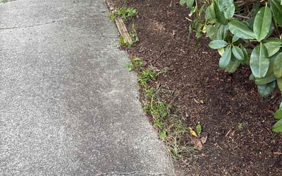 Photo of Aaron S.'s yard after getting landscaping in Snoqualmie, WA